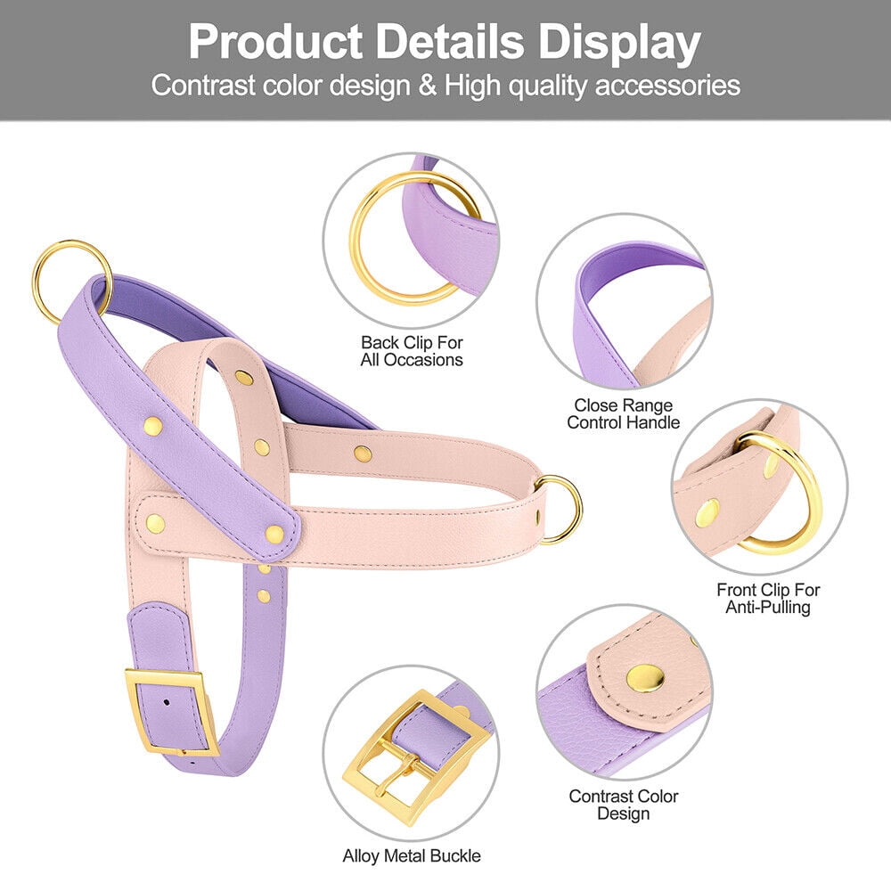 Didog Fashion No Pull Front Leading Dog Harness Soft Leather Adjustable Chest Vest with Handle