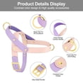 thumbnail image 3 of Didog Fashion No Pull Front Leading Dog Harness Soft Leather Adjustable Chest Vest with Handle, 3 of 8