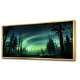 thumbnail image 2 of Designart "Nursery Adorned with Colorful Cute Animals III" Extra Large Landscapes Framed Wall Art - Traditional Green Northern Lights Entryway Framed Wall Art Print, 2 of 6