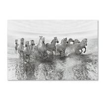 Trademark Fine Art 'Illusion Of Power' Canvas Art by Roman Golubenko