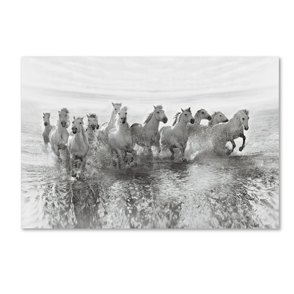 Trademark Fine Art 'Illusion Of Power' Canvas Art by Roman Golubenko