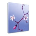 thumbnail image 2 of Tangletown Fine Art 'Cherry Flower 3' Graphic Art Print on Wrapped Canvas, 2 of 2
