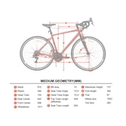 Concord 700C Alaris 2x7 Speed Road Bike, Red, Size Medium, Fits Riders 55-510, Adult, Unisex