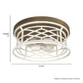 thumbnail image 5 of Hunter Langwood Distressed White and Chestnut 2 Light Flush Mount Ceiling Light Fixture, 5 of 7