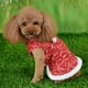 thumbnail image 3 of Invierno Navidad lindo perro rojo ropa falda para perros pequeños cachorro chaqueta ropa traje, 3 of 5