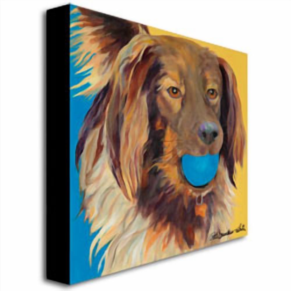 Trademark Art "Caleigh" Canvas Wall Art by Pat Saunders-White