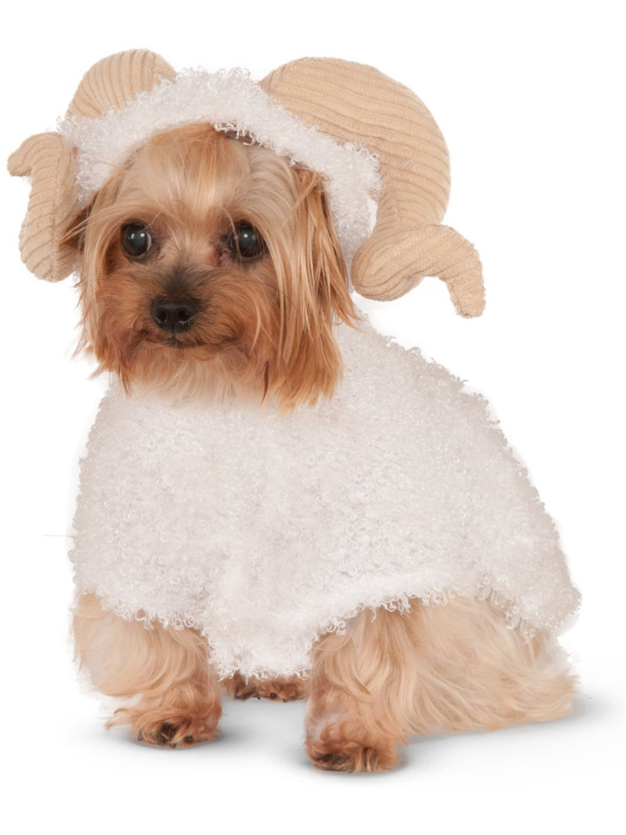 rams dog sweater