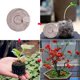 thumbnail image 2 of Bloques de para Plantación Nutrición de Tapones Bloques de Turba Comprimida Bloques de Turba de Bloques de Plántulas Comprimidas, 2 of 5