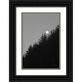 thumbnail image 1 of Murdock, Ramona 11x14 Black Ornate Wood Framed with Double Matting Museum Art Print Titled - Piney Mountain, 1 of 4