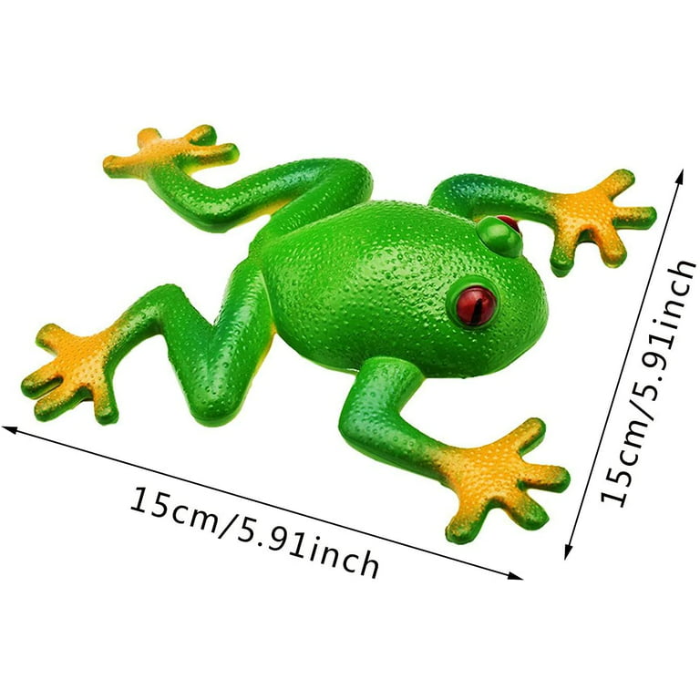 Dream Lifestyle Rubber Frogs Simulation Frog Stretchy Toy - Squeeze Frogs  Stress Relief Toy Realistic Frog Squishy Toys for Sensory Toy Spoof Stress  Vent Kids Toddler Toy 