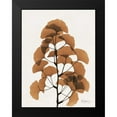 thumbnail image 2 of Koetsier, Albert 12x14 Black Modern Framed Museum Art Print Titled - Aged Ginko, 2 of 5