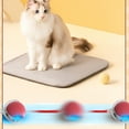 thumbnail image 2 of BESTSKY 3Pcs Cat Toys for Indoor Cats,Flexible Rolling Action Automatic Cat Toy,Prey Simulation Mode Moving Cat Toys,Style1, 2 of 4