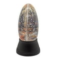 thumbnail image 2 of Kurt Adler 6.5-Inch Battery Operated USB Halloween LED Lighted Village Scene Water Lantern., 2 of 7