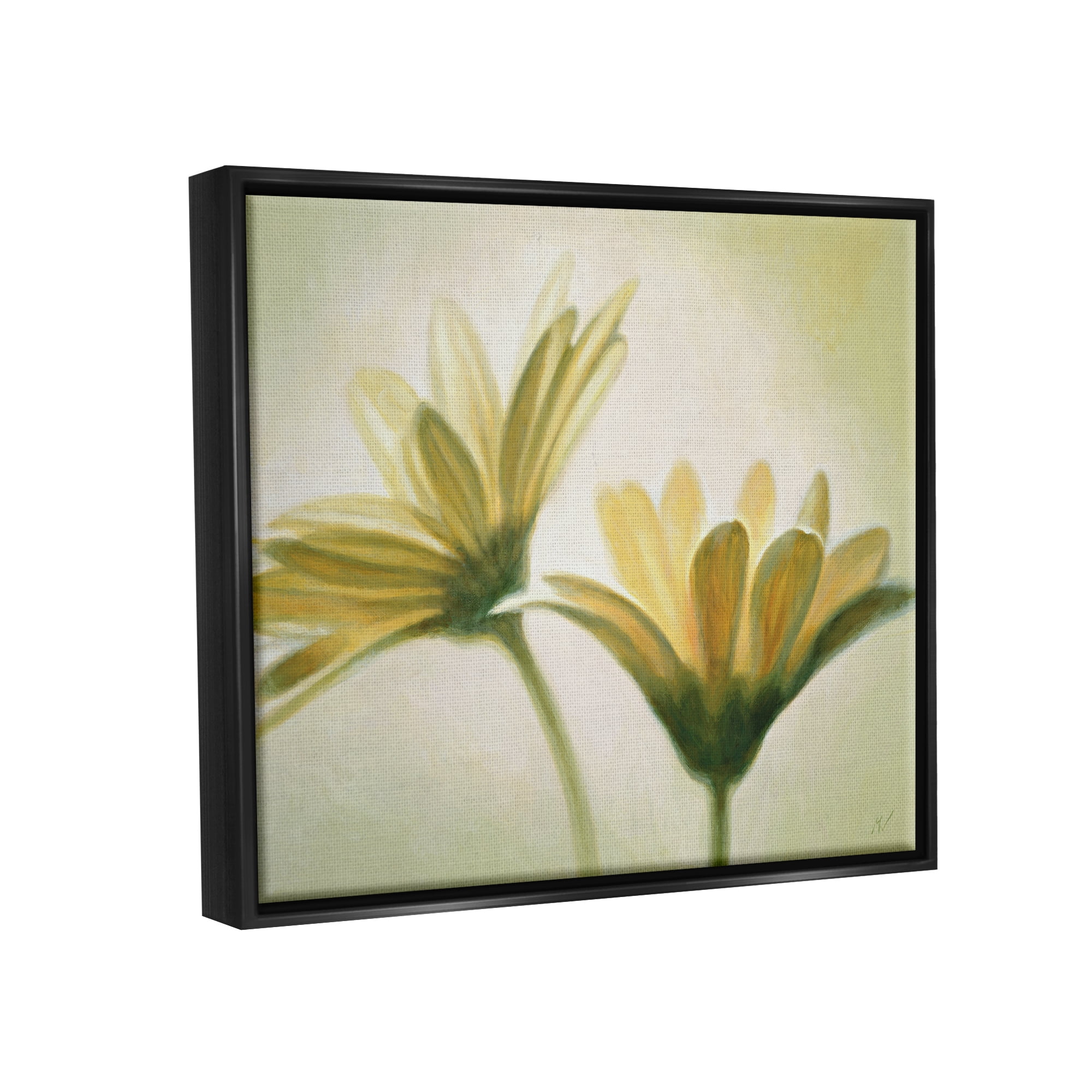 Stupell Industries Two Daisies Painting Botanical & Floral Painting Black Floater Framed Canvas Art Print Wall Art, 21 x 17