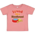 thumbnail image 3 of Inktastic Bloodhound Loved By A (Dog Breed) Boys or Girls Baby T-Shirt, 3 of 5