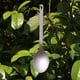 thumbnail image 3 of Camping Senderismo Utensilio de Tenedor Viaje Mochilero de Vajilla - Cuchara, 3 of 8