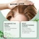 thumbnail image 5 of Aceite de romero para el cuidado del cabello Aceite de romero para el cuidado del cabello Pestañas Cejas Nutre el cuero cabelludo 100 ml cuidado del cabello, 5 of 9