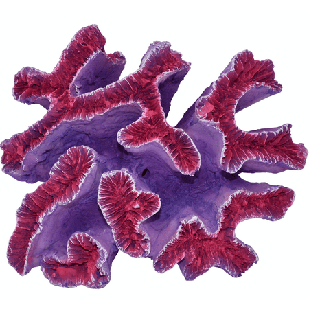Komodo Curly Pink and Purple Coral Ornament, Aquarium Decor