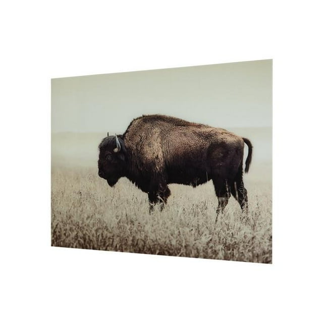 Benjara BM227122 Rectangular Glass Wall Art with Animal Print & Sawtooth Hanger, Brown