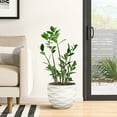 thumbnail image 7 of LuxenHome 11.6-Inch H White MgO Waves Design Round Planter, 7 of 7