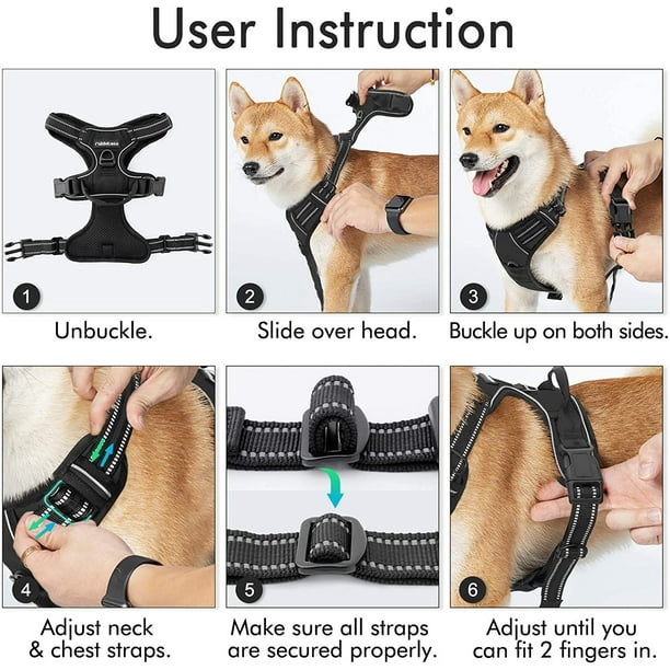 rabbitgoo Dog Harness No Pull Pet Harness with 2 Leash Clips