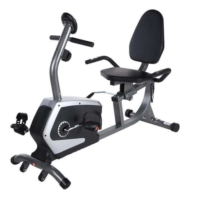 Bicicleta Estática Negro con Gris Sunny Health & Fitness Reclinada Magnética