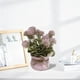 thumbnail image 4 of Plantas Artificiales De Plástico En Maceta Pequeña planta artificial rosa en maceta, mini planta esférica para decoración del hogar y accesorios de fotografía (1 unidad) JASKFLY, 4 of 8