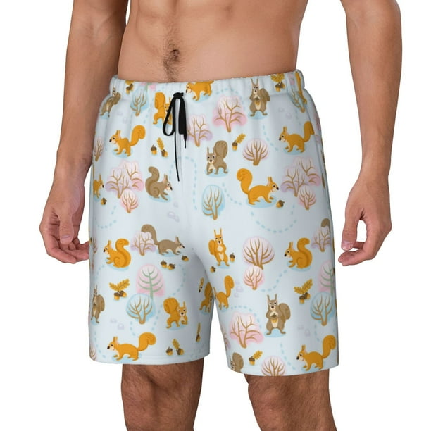 Balery Squirrel In The Forest Bañador para hombre, shorts de playa de secado rápido con entrepierna y forro de compresión-Large
