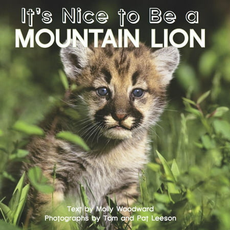 Its Nice to Be a Mountain Lion (Board Book)