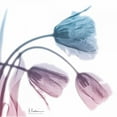 thumbnail image 2 of Koetsier, Albert 26x26 White Modern Wood Framed Museum Art Print Titled - Tulips Rose Serenity, 2 of 4