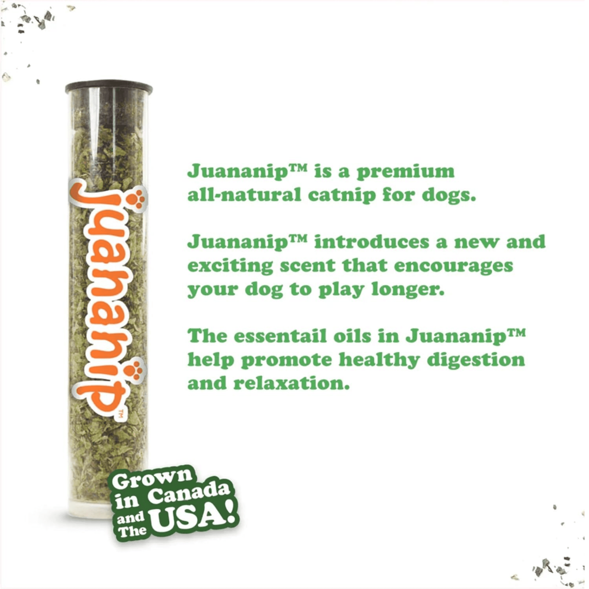 Doggijuana Tuffer Chewer Plush Dog Toy with Juananip Catnip, Squeaky Refillable Toy, Grilled Cheese