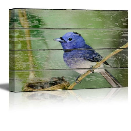 Birds On A Branch Wall26 - Blue Little Bird Sitting on a Tree Branch on Vintage Wood Textured Background Rustic Country Style Gallery - Canvas Art Wall Decor - 16