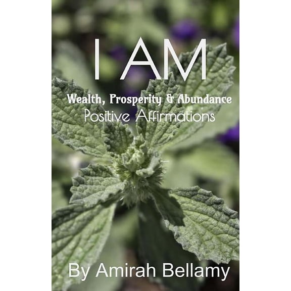 I AM Wealth, Prosperity & Abundance Positive Affirmations (Paperback)