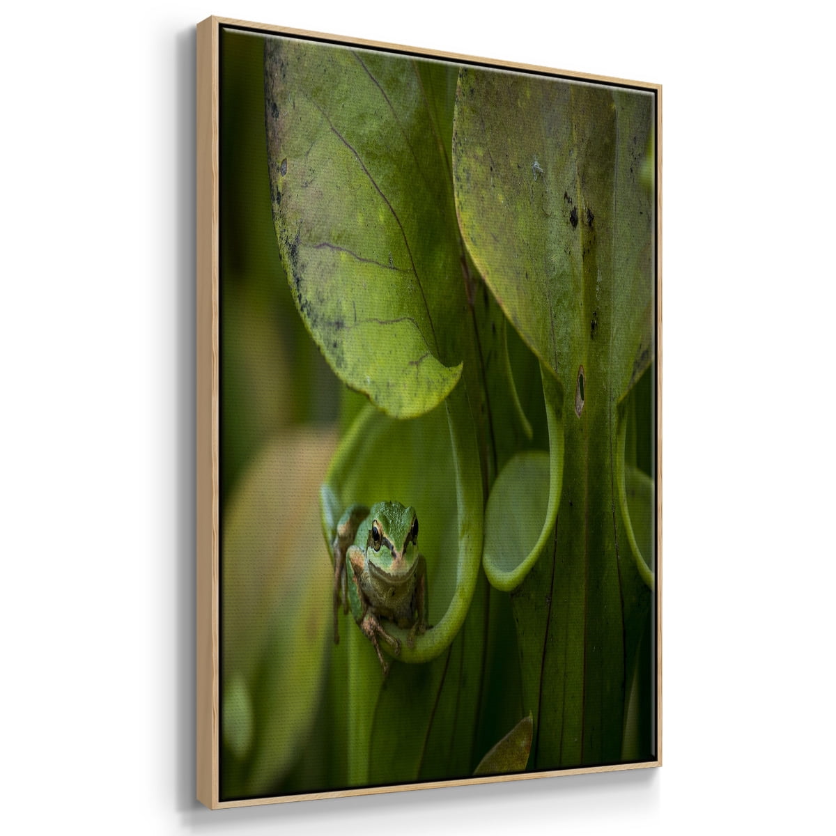 Arboreal Refuge Framed Premium Gallery Wrapped Canvas - Ready to Hang