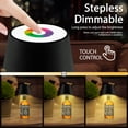 thumbnail image 4 of Wireless Bottle Lamp, Portable Cordless Table Lamp With RGB Breathing Light Mode 3 Color Stepless Dimming Wine Bottle Decorative Touch Lights For Bars Restaurants Rechargeable, 4 of 7