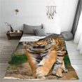 thumbnail image 3 of Tiger Forest Blanket Jungle Bengal Tiger Gifts Soft Warm Lightweight Blanket for Aduts Men Boys Tiger Lovers Valentines Birthday Bedroom Bed Sofa Decor 40"x50", 3 of 5