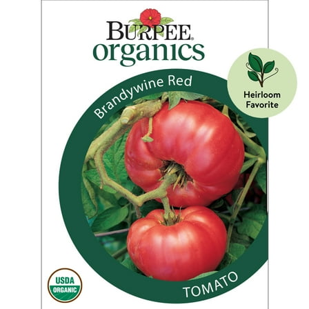 Burpee Organic Brandywine Red Tomato Vegetable Seed, 1-Pack