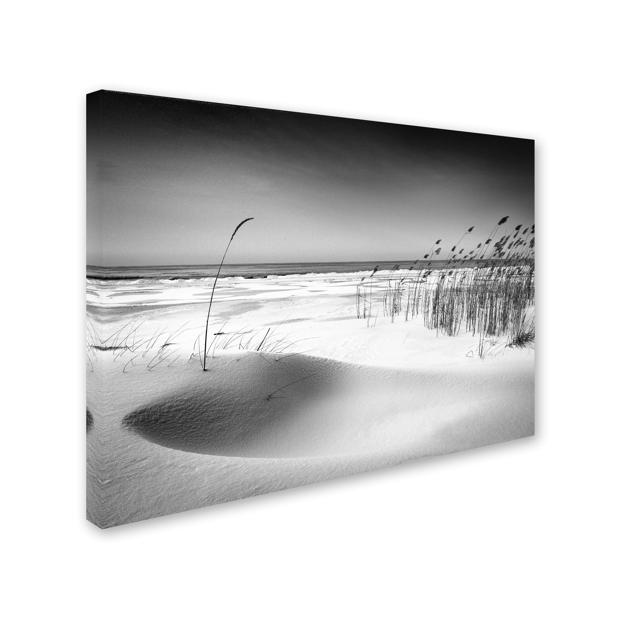Trademark Fine Art 'Orchestra' Canvas Art by Reinis Cirulis