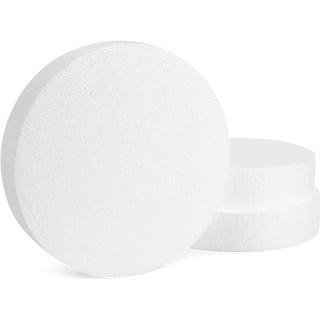  SEWACC 5pcs Foam Disc Round Foam for Crafts Tray Decor