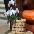 thumbnail image 2 of Seagrass and Jute Plant Baskets, Round, Chunky Sweater Weave, Natural (3 Pack), 2 of 6