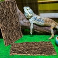 thumbnail image 3 of Tree Bark Terrarium Background for Reptile Climbing and Hiding 1 Set Terrarium Bark Material Feeding Box Bark, 3 of 9
