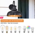 thumbnail image 3 of Lámparas de pared para exteriores Diyel Gooseneck 120V Rustic Black, 3 of 9