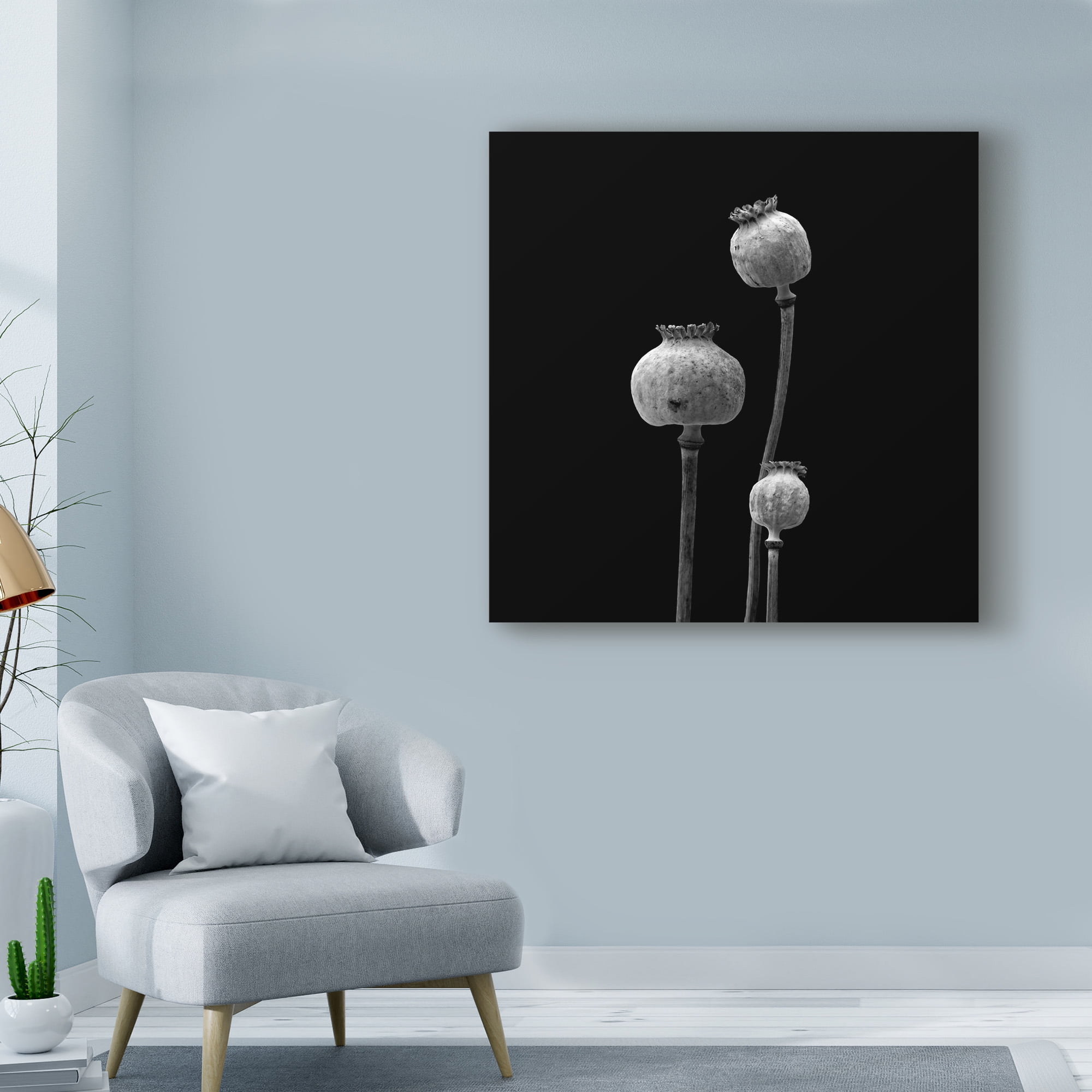 Trademark Fine Art '3 Poppy Heads Bw' Canvas Art by Tom Quartermaine