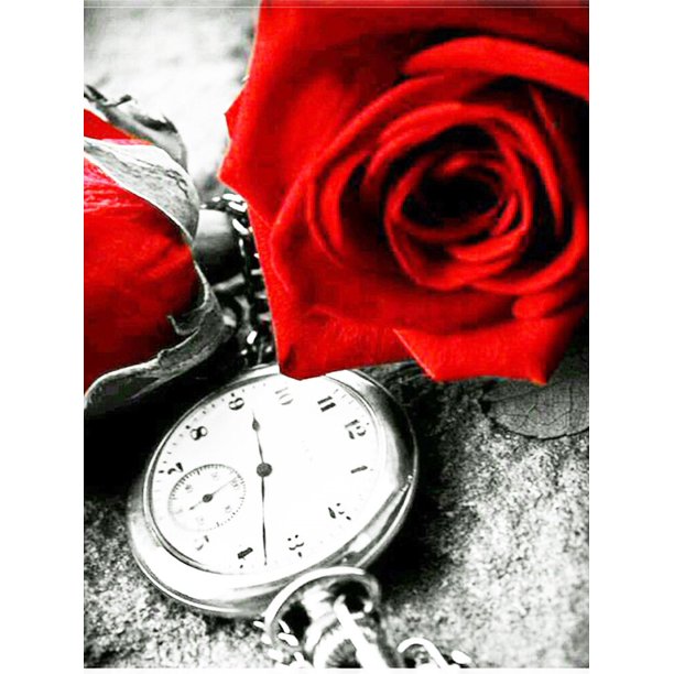 EverShine DIY Diamond Mosaic Flowers Cross Stitch Diamond Embroidery Rose Rhinestones Art Painting Black And Red Home DecorRound Drill 60x80cm Gao Jinjia LED