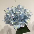 thumbnail image 3 of HYDRANGEE  BLEU, 3 of 3