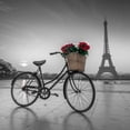 thumbnail image 2 of Frank, Assaf 15x15 Gold Ornate Wood Framed with Double Matting Museum Art Print Titled - A bicycle with a basket of flowers with the Eiffel tower in the background, 2 of 4