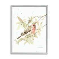 Stupell Industries Bird on Branch Watercolor Animals & Insects Painting Gray Framed Art Print Wall Art, 16 x 20