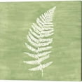 thumbnail image 3 of Great Art Now Forest Ferns by Vanna Lam 3 Piece Canvas Art Set Each 14"W x 14"H, 3 of 4