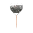 thumbnail image 1 of Snow View Road Photography Toothpick Flags Heart Lable Cupcake Picks, 1 of 3