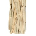 thumbnail image 5 of Vickerman Natural Botanicals 24" Babala Natural. Includes 75 pieces per unit., 5 of 6
